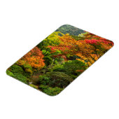 Japanische Gärten im Herbst in Portland, Oregon 2 Magnet (Linke Seite)