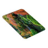 Japanische Gärten im Herbst in Portland, Oregon 3 Magnet (Rechte Seite)