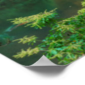 Japanische Gärten im Herbst in Portland, Oregon 3 Poster (Ecke)