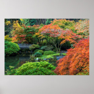 Japanische Gärten im Herbst in Portland, Oregon 3 Poster