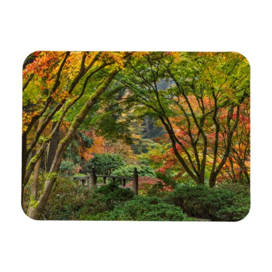 Japanische Gärten im Herbst in Portland, Oregon 4 Magnet (Horizontal)