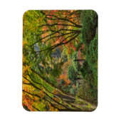 Japanische Gärten im Herbst in Portland, Oregon 4 Magnet (Vertikal)