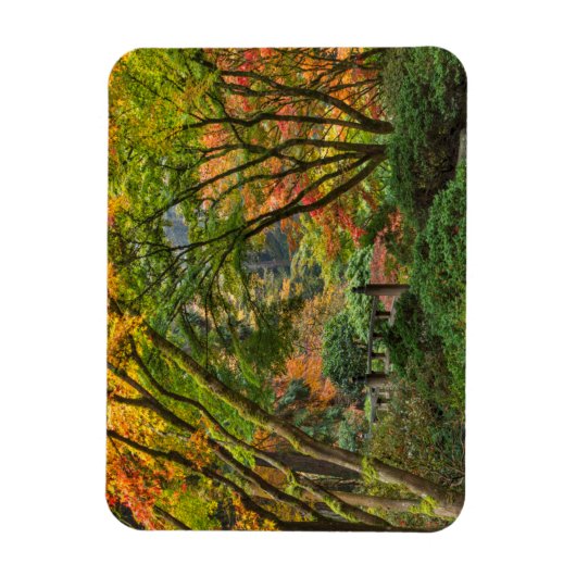 Japanische Gärten im Herbst in Portland, Oregon 4 Magnet (Vertikal)