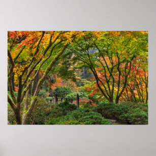 Japanische Gärten im Herbst in Portland, Oregon 4 Poster