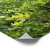 Japanische Gartenposter Poster (Ecke)