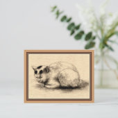 Japanische Hauskatze, Zeichnend Postkarte (Stehend Vorderseite)