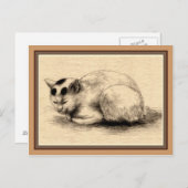 Japanische Hauskatze, Zeichnend Postkarte (Vorne/Hinten)