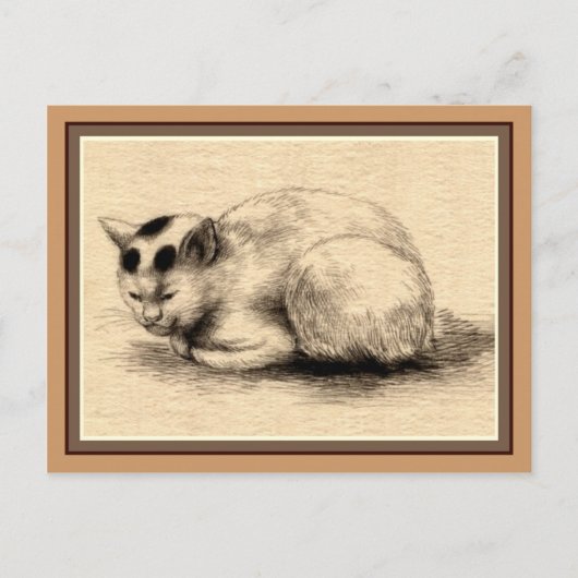 Japanische Hauskatze, Zeichnend Postkarte (Vorderseite)
