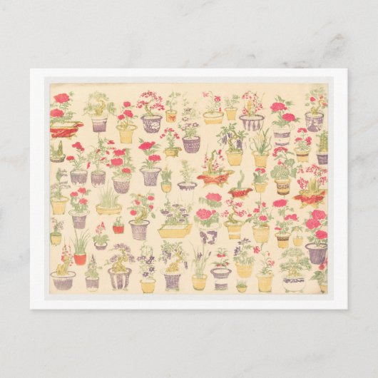 Japanische Illustration von gepolsterten Pflanze / Postkarte (Vorderseite)