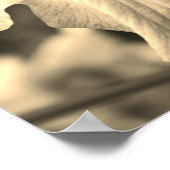 Japanische Iris Blume Nah Up Sepia Tint Poster (Ecke)