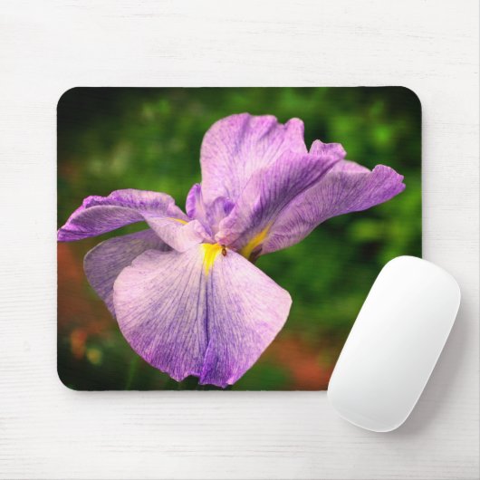 Japanische Iris entfaltet Blume Mousepad (Mit Mouse)