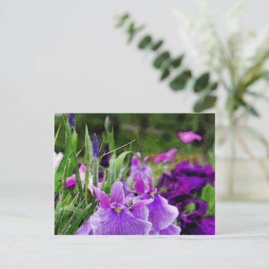 Japanische Iris Postkarte (Stehend Vorderseite)