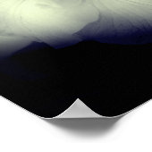 Japanische Irisfarbe und Weiß hoch kontrast Poster (Ecke)