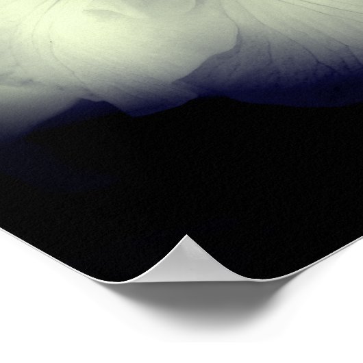 Japanische Irisfarbe und Weiß hoch kontrast Poster (Ecke)