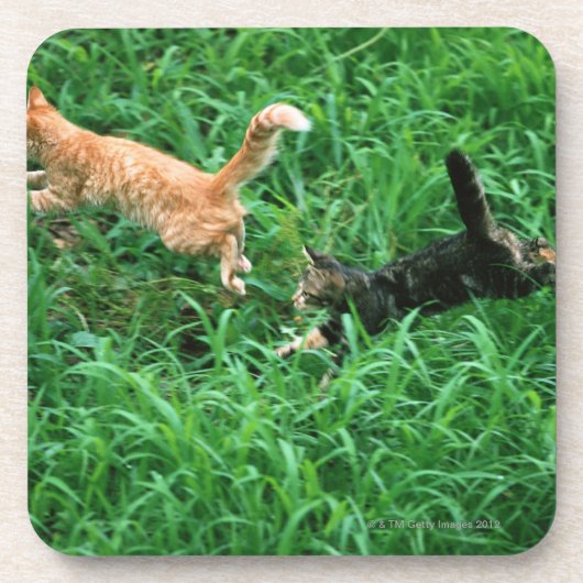 Japanische Katze 3 Getränkeuntersetzer (Vorderseite)