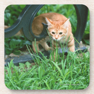 Japanische Katze 3 Getränkeuntersetzer