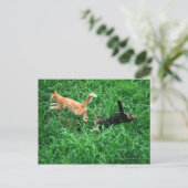 Japanische Katze 3 Postkarte (Stehend Vorderseite)