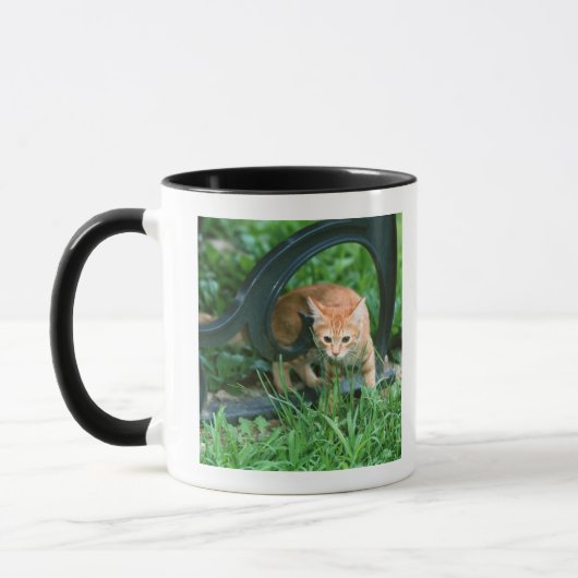 Japanische Katze 3 Tasse (Links)