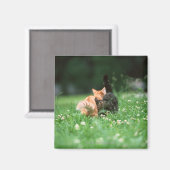 Japanische Katze 4 Magnet (Vorderseite/Rückseite)