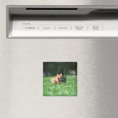 Japanische Katze 4 Magnet (In Situ (Geschirrspüler))