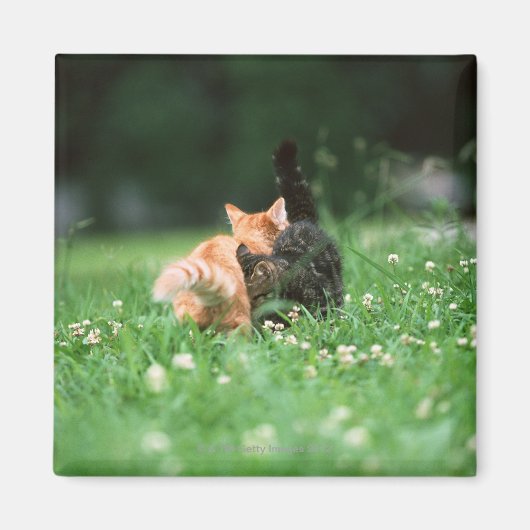 Japanische Katze 4 Magnet (Vorne)