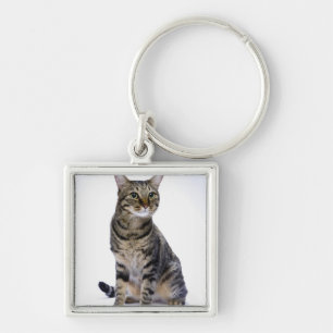 Japanische Katze auf weißem Hintergrund Schlüsselanhänger