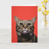 Japanische Katze, die oben schaut Karte (Gelbe Blume)