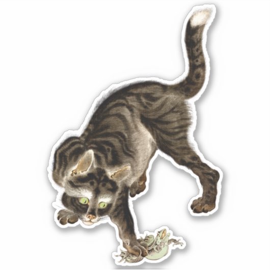 Japanische Katze fängt einen Frosch Aufkleber (Vorderseite)