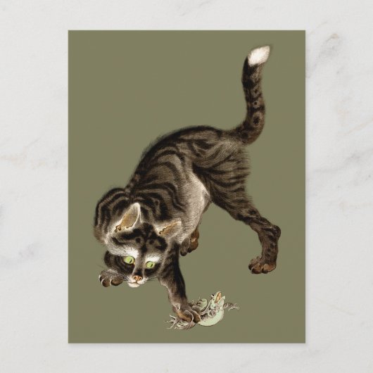 Japanische Katze fängt einen Frosch Postkarte (Vorderseite)