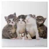 Japanische Katze Fliese (Vorderseite)