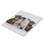 Japanische Katze Fliese (Seite)