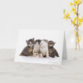 Japanische Katze Karte (Gelbe Blume)