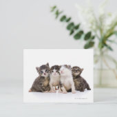 Japanische Katze Postkarte (Stehend Vorderseite)