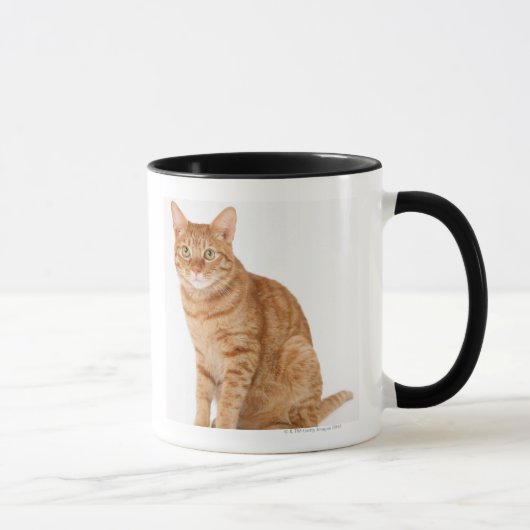 Japanische Katze Tasse (Rechts)