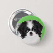 Japanische Kinofilme - Original Hundeschichte Button (Vorne & Hinten)