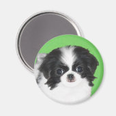 Japanische Kinofilme - Original Hundeschichte Magnet (Vorderseite/Rückseite)