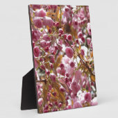 Japanische Kirschbaume Fotoplatte (Seite)