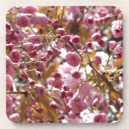 Japanische Kirschbaume Getränkeuntersetzer