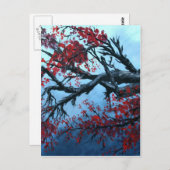 Japanische Kirschblüte Blume Postkarte (Vorne/Hinten)