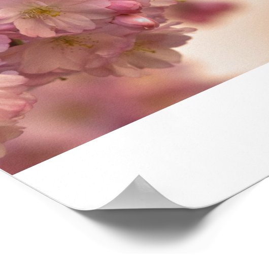 japanische Kirschblüte Poster (Ecke)
