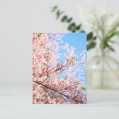 Japanische Kirschblüten Postkarte (Stehend Vorderseite)