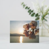 Japanische Kirschblüten Postkarte (Stehend Vorderseite)