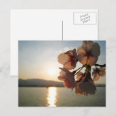 Japanische Kirschblüten Postkarte (Vorne/Hinten)