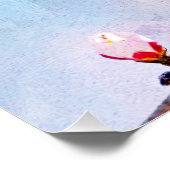 Japanische Kirsche - Sakura in Bloom Poster (Ecke)