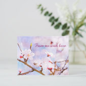 Japanische Kirsche - Sakura in Bloom Postkarte (Stehend Vorderseite)