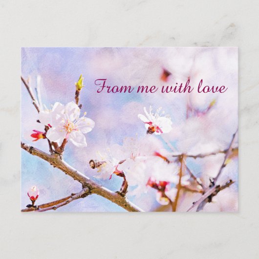 Japanische Kirsche - Sakura in Bloom Postkarte (Vorderseite)
