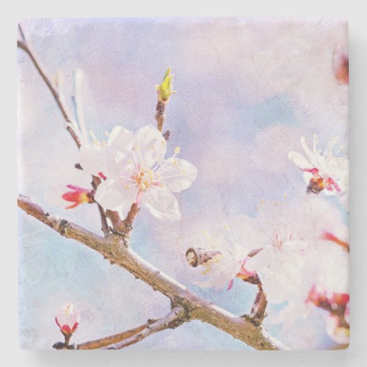 Japanische Kirsche - Sakura in Bloom Steinuntersetzer (Vorderseite)
