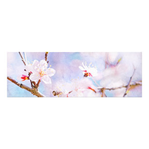 Japanische Kirsche - Sakura in Blüte Fotodruck