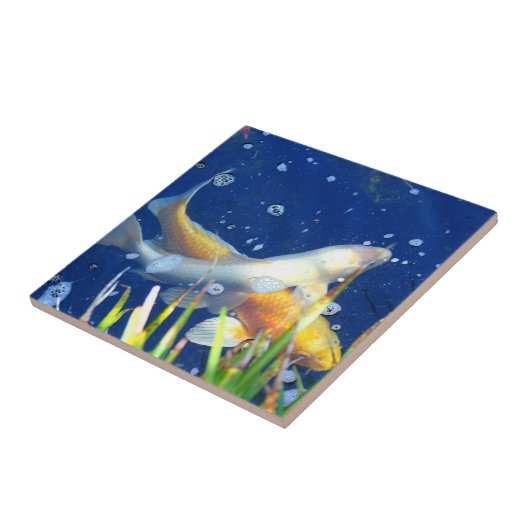 japanische koi Teichfliese Fliese (Seite)