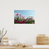 Japanische Kosmos-Blume Poster (Küche)
